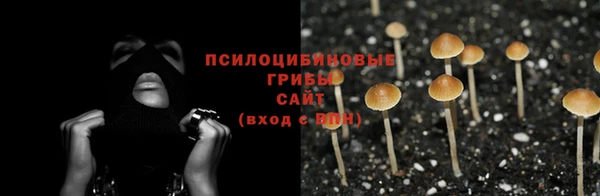 эйфоретик Армянск