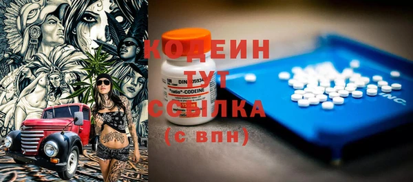 ГАЛЛЮЦИНОГЕННЫЕ ГРИБЫ Арсеньев