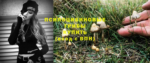 ГАЛЛЮЦИНОГЕННЫЕ ГРИБЫ Арсеньев