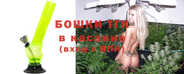 ГАЛЛЮЦИНОГЕННЫЕ ГРИБЫ Арсеньев