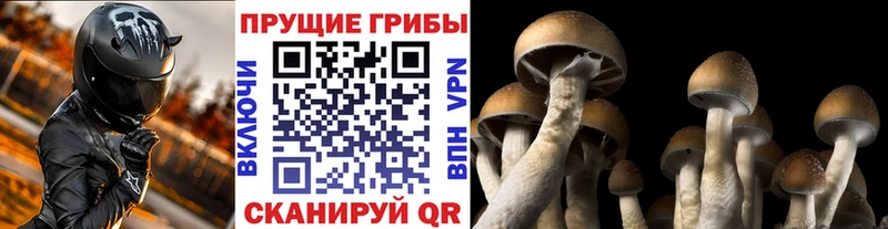 Галлюциногенные грибы MAGIC MUSHROOMS  Курлово 